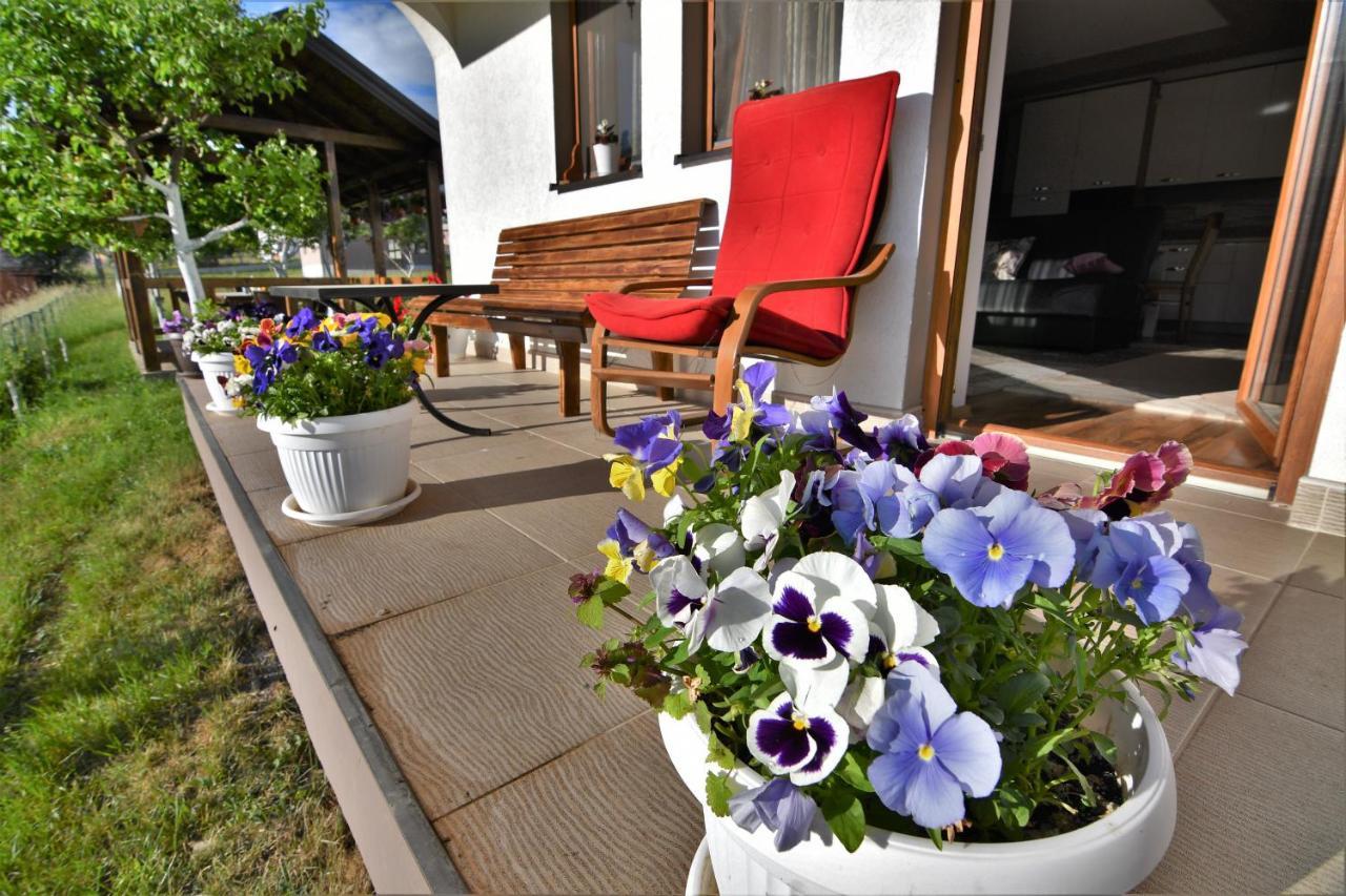 Guest House Blue Views 플라브 외부 사진